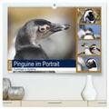 und Yvonne Herzog |  Pinguine im Portrait - Frackträger in Südafrika (hochwertiger Premium Wandkalender 2024 DIN A2 quer), Kunstdruck in Hochglanz | Sonstiges |  Sack Fachmedien