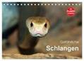 Herzog |  Gefährliche Schlangen (Tischkalender 2024 DIN A5 quer), CALVENDO Monatskalender | Sonstiges |  Sack Fachmedien