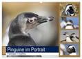 und Yvonne Herzog |  Pinguine im Portrait - Frackträger in Südafrika (Wandkalender 2024 DIN A2 quer), CALVENDO Monatskalender | Sonstiges |  Sack Fachmedien