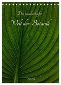 Pohl |  Die zauberhafte Welt der Botanik (Tischkalender 2024 DIN A5 hoch), CALVENDO Monatskalender | Sonstiges |  Sack Fachmedien