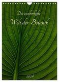 Pohl |  Die zauberhafte Welt der Botanik (Wandkalender 2024 DIN A4 hoch), CALVENDO Monatskalender | Sonstiges |  Sack Fachmedien