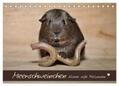 Fischer |  Meerschweinchen - Kleine süße Fellnasen (Tischkalender 2024 DIN A5 quer), CALVENDO Monatskalender | Sonstiges |  Sack Fachmedien