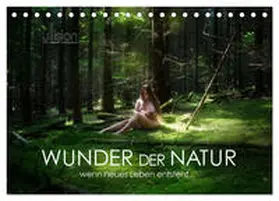 Jelinek / Allgaier (www.ullision.com) |  Ukraine - Social Studies for Kids, Ukrainian Culture, Ukrainian Traditions, Music, Art, History, World Travel, Learn about Ukraine, Children Explore Europe Books | Buch |  Sack Fachmedien