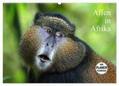 Herzog |  Affen in Afrika (Wandkalender 2024 DIN A2 quer), CALVENDO Monatskalender | Sonstiges |  Sack Fachmedien