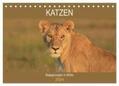 Herzog |  Katzen - Begegnungen in Afrika (Tischkalender 2024 DIN A5 quer), CALVENDO Monatskalender | Sonstiges |  Sack Fachmedien