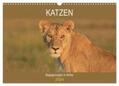 Herzog |  Katzen - Begegnungen in Afrika (Wandkalender 2024 DIN A3 quer), CALVENDO Monatskalender | Sonstiges |  Sack Fachmedien