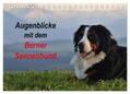 Hunscheidt |  Augenblicke mit dem Berner Sennenhund (Tischkalender 2024 DIN A5 quer), CALVENDO Monatskalender | Sonstiges |  Sack Fachmedien