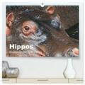 Herzog |  Hippos - Begegnungen in Afrika (hochwertiger Premium Wandkalender 2024 DIN A2 quer), Kunstdruck in Hochglanz | Sonstiges |  Sack Fachmedien