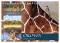 Herzog |  Giraffen - Sanftheit und Anmut (Tischkalender 2024 DIN A5 quer), CALVENDO Monatskalender | Sonstiges |  Sack Fachmedien
