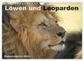 Herzog |  Löwen und Leoparden - Begegnungen in Afrika (Wandkalender 2024 DIN A4 quer), CALVENDO Monatskalender | Sonstiges |  Sack Fachmedien