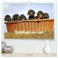 Müller |  Hundekinder vom Land (hochwertiger Premium Wandkalender 2024 DIN A2 quer), Kunstdruck in Hochglanz | Sonstiges |  Sack Fachmedien