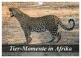 Janssen / Janßen |  Tier-Momente in Afrika (Wandkalender 2024 DIN A4 quer), CALVENDO Monatskalender | Sonstiges |  Sack Fachmedien