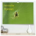 Schäfer |  Heimische Spinnen (hochwertiger Premium Wandkalender 2024 DIN A2 quer), Kunstdruck in Hochglanz | Sonstiges |  Sack Fachmedien