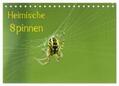 Schäfer |  Heimische Spinnen (Tischkalender 2024 DIN A5 quer), CALVENDO Monatskalender | Sonstiges |  Sack Fachmedien