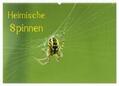 Schäfer |  Heimische Spinnen (Wandkalender 2024 DIN A2 quer), CALVENDO Monatskalender | Sonstiges |  Sack Fachmedien