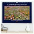 Herzog |  Südafrikas Wildblumen - Blütenpracht in der Kap-Region (hochwertiger Premium Wandkalender 2024 DIN A2 quer), Kunstdruck in Hochglanz | Sonstiges |  Sack Fachmedien