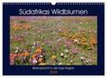 Herzog |  Südafrikas Wildblumen - Blütenpracht in der Kap-Region (Wandkalender 2024 DIN A3 quer), CALVENDO Monatskalender | Sonstiges |  Sack Fachmedien
