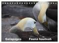 Krause |  Galapagos. Fauna hautnah (Tischkalender 2024 DIN A5 quer), CALVENDO Monatskalender | Sonstiges |  Sack Fachmedien