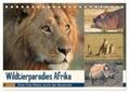 Herzog |  Wildtierparadies Afrika - Eine Foto-Reise durch die Savannen (Tischkalender 2024 DIN A5 quer), CALVENDO Monatskalender | Sonstiges |  Sack Fachmedien