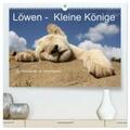 Sander |  Löwen - Kleine Könige (hochwertiger Premium Wandkalender 2024 DIN A2 quer), Kunstdruck in Hochglanz | Sonstiges |  Sack Fachmedien