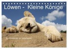 Sander | Löwen - Kleine Könige (Tischkalender 2024 DIN A5 quer), CALVENDO Monatskalender | Sonstiges | 978-3-383-46787-5 | sack.de