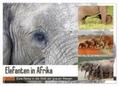 Herzog |  Elefanten in Afrika (Wandkalender 2024 DIN A2 quer), CALVENDO Monatskalender | Sonstiges |  Sack Fachmedien