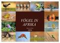 Herzog |  Vögel in Afrika - Magie der Farben (Wandkalender 2024 DIN A2 quer), CALVENDO Monatskalender | Sonstiges |  Sack Fachmedien