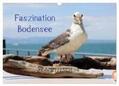 Raab |  Faszination Bodensee (Wandkalender 2024 DIN A3 quer), CALVENDO Monatskalender | Sonstiges |  Sack Fachmedien