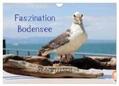 Raab |  Faszination Bodensee (Wandkalender 2024 DIN A4 quer), CALVENDO Monatskalender | Sonstiges |  Sack Fachmedien