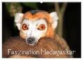 Raab |  Faszination Madagaskar (Wandkalender 2024 DIN A2 quer), CALVENDO Monatskalender | Sonstiges |  Sack Fachmedien