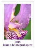 Haas |  Iris, Blume des Regenbogens (Wandkalender 2024 DIN A2 hoch), CALVENDO Monatskalender | Sonstiges |  Sack Fachmedien
