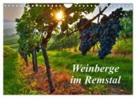 Schmidt | Weinberge im Remstal (Wandkalender 2024 DIN A4 quer), CALVENDO Monatskalender | Sonstiges | 978-3-383-52221-5 | sack.de
