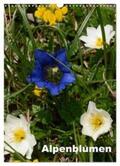 Haas |  Alpenblumen (Wandkalender 2024 DIN A3 hoch), CALVENDO Monatskalender | Sonstiges |  Sack Fachmedien