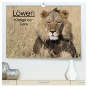Sander | Löwen - Könige der Tiere (hochwertiger Premium Wandkalender 2024 DIN A2 quer), Kunstdruck in Hochglanz | Sonstiges | 978-3-383-63049-1 | sack.de