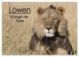 Sander | Löwen - Könige der Tiere (Tischkalender 2024 DIN A5 quer), CALVENDO Monatskalender | Sonstiges | 978-3-383-63066-8 | sack.de