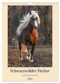 Hahn |  Schwarzwälder Füchse von Julia Hahn Photography (Wandkalender 2024 DIN A4 hoch), CALVENDO Monatskalender | Sonstiges |  Sack Fachmedien