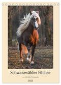 Hahn |  Schwarzwälder Füchse von Julia Hahn Photography (Tischkalender 2024 DIN A5 hoch), CALVENDO Monatskalender | Sonstiges |  Sack Fachmedien