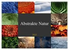 CALVENDO / Michel |  Abstrakte Natur (Wandkalender 2025 DIN A2 quer), CALVENDO Monatskalender | Sonstiges |  Sack Fachmedien