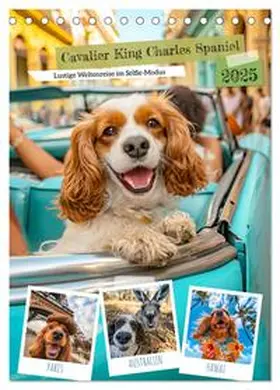 CALVENDO / Frost |  Cavalier King Charles Spaniel - Lustige Weltenreise im Selfie-Modus (Tischkalender 2025 DIN A5 hoch), CALVENDO Monatskalender | Sonstiges |  Sack Fachmedien