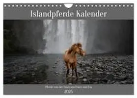 CALVENDO / Voth |  Islandpferde Kalender - Pferde von der Insel aus Feuer und Eis (Wandkalender 2025 DIN A4 quer), CALVENDO Monatskalender | Sonstiges |  Sack Fachmedien