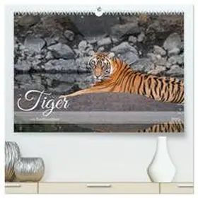 CALVENDO / STYPPA |  Tiger von Ranthambore (hochwertiger Premium Wandkalender 2025 DIN A2 quer), Kunstdruck in Hochglanz | Sonstiges |  Sack Fachmedien
