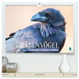 CALVENDO | Rabenvögel: Schwarz, schlau, schön (hochwertiger Premium Wandkalender 2025 DIN A2 quer), Kunstdruck in Hochglanz | Sonstiges | 978-3-383-77679-3 | www.sack.de