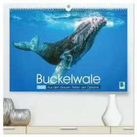 CALVENDO |  Buckelwale: Aus den blauen Tiefen der Ozeane (hochwertiger Premium Wandkalender 2025 DIN A2 quer), Kunstdruck in Hochglanz | Sonstiges |  Sack Fachmedien