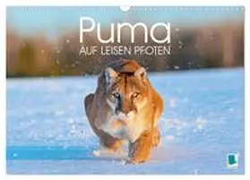 CALVENDO |  Puma: Auf leisen Pfoten (Wandkalender 2025 DIN A3 quer), CALVENDO Monatskalender | Sonstiges |  Sack Fachmedien