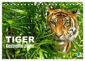 CALVENDO |  Tiger: Gestreifte Jäger (Tischkalender 2025 DIN A5 quer), CALVENDO Monatskalender | Sonstiges |  Sack Fachmedien