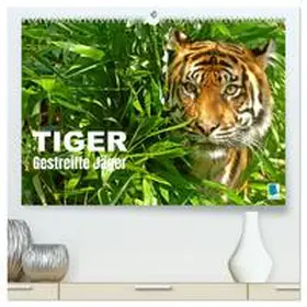 CALVENDO |  Tiger: Gestreifte Jäger (hochwertiger Premium Wandkalender 2025 DIN A2 quer), Kunstdruck in Hochglanz | Sonstiges |  Sack Fachmedien