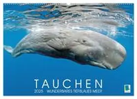 CALVENDO |  Tauchen: Wunderbares tiefblaues Meer (Wandkalender 2025 DIN A2 quer), CALVENDO Monatskalender | Sonstiges |  Sack Fachmedien