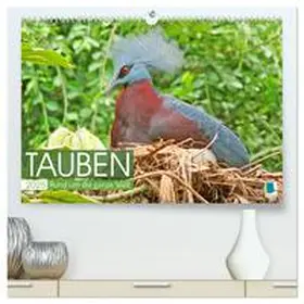 CALVENDO | Tauben rund um die ganze Welt (hochwertiger Premium Wandkalender 2025 DIN A2 quer), Kunstdruck in Hochglanz | Sonstiges | 978-3-383-77828-5 | www.sack.de
