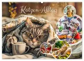 CALVENDO / Frost |  Katzen-Alltag - Ein witziges Jahr mit Kater Tommy (Wandkalender 2025 DIN A2 quer), CALVENDO Monatskalender | Sonstiges |  Sack Fachmedien