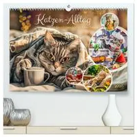 CALVENDO / Frost |  Katzen-Alltag - Ein witziges Jahr mit Kater Tommy (hochwertiger Premium Wandkalender 2025 DIN A2 quer), Kunstdruck in Hochglanz | Sonstiges |  Sack Fachmedien